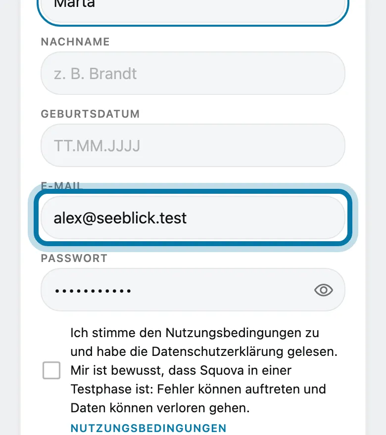 Trag deine E-Mail-Adresse und ein Passwort ein.