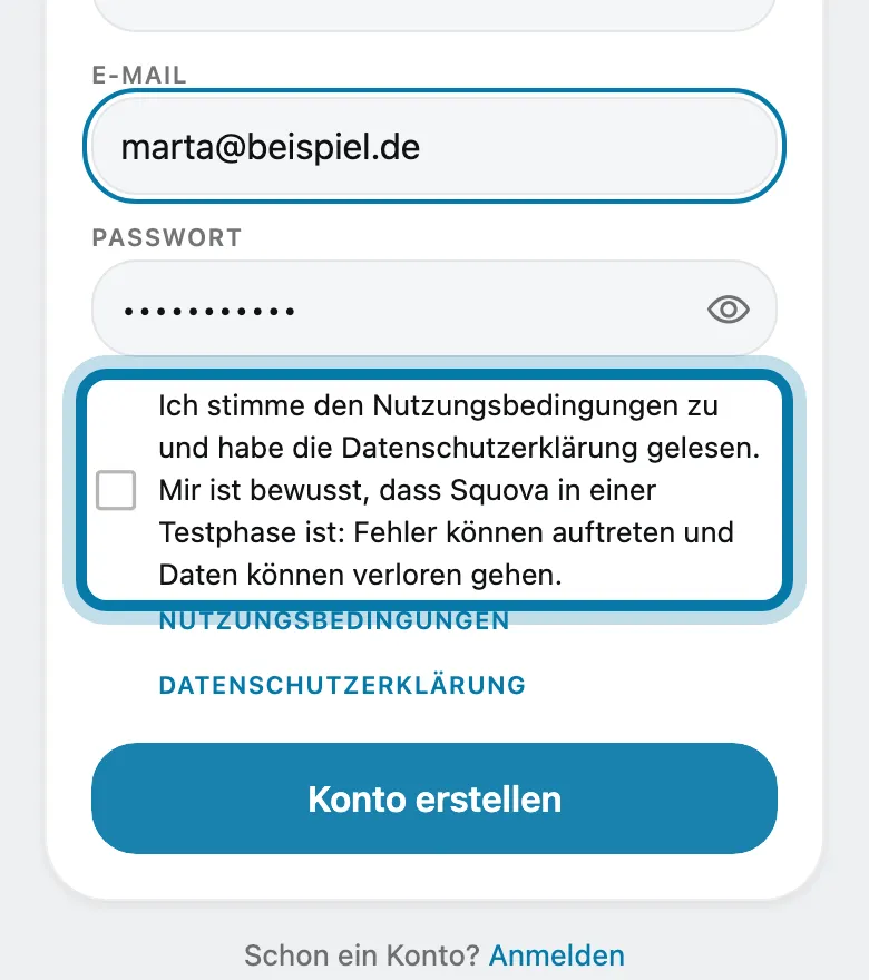 Setze das Häkchen unter die Nutzungsbedingungen.