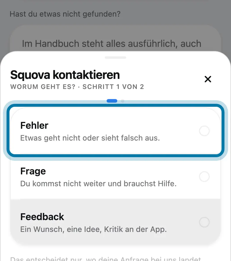 Wähle, worum es geht, etwa Fehler.