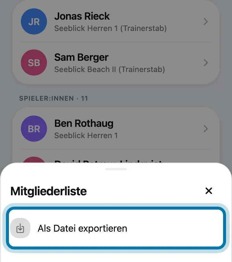 Tippe auf Als Datei exportieren.